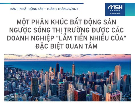   Bún Bò Nam Định: Món Ăn Thơm Phức Của Miền Bắc Gặp Gỡ Vị Ngọt Nồng Của Nước Dừa?